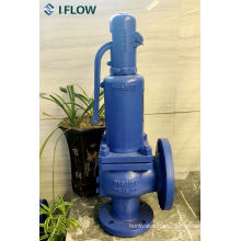 DIN Standard Pn40/16 Cast Steel& Stainless Steel Safety Valve